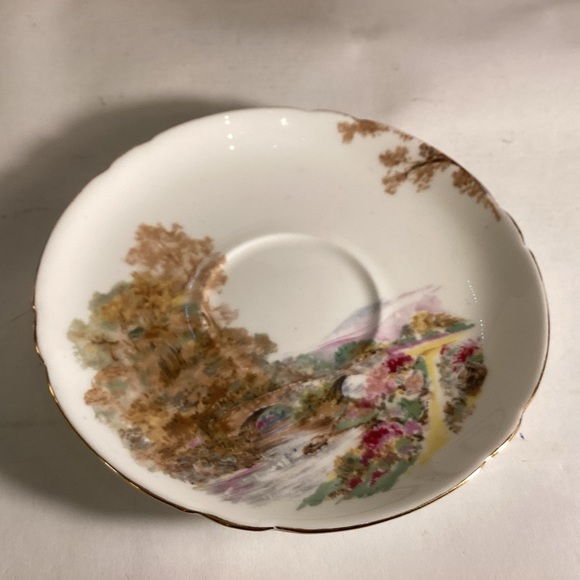 Shelley bone china cup and saucer,England - Picture 8 of 9